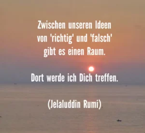 Read more about the article Rumi – Unsere Ideen von richtig und falsch