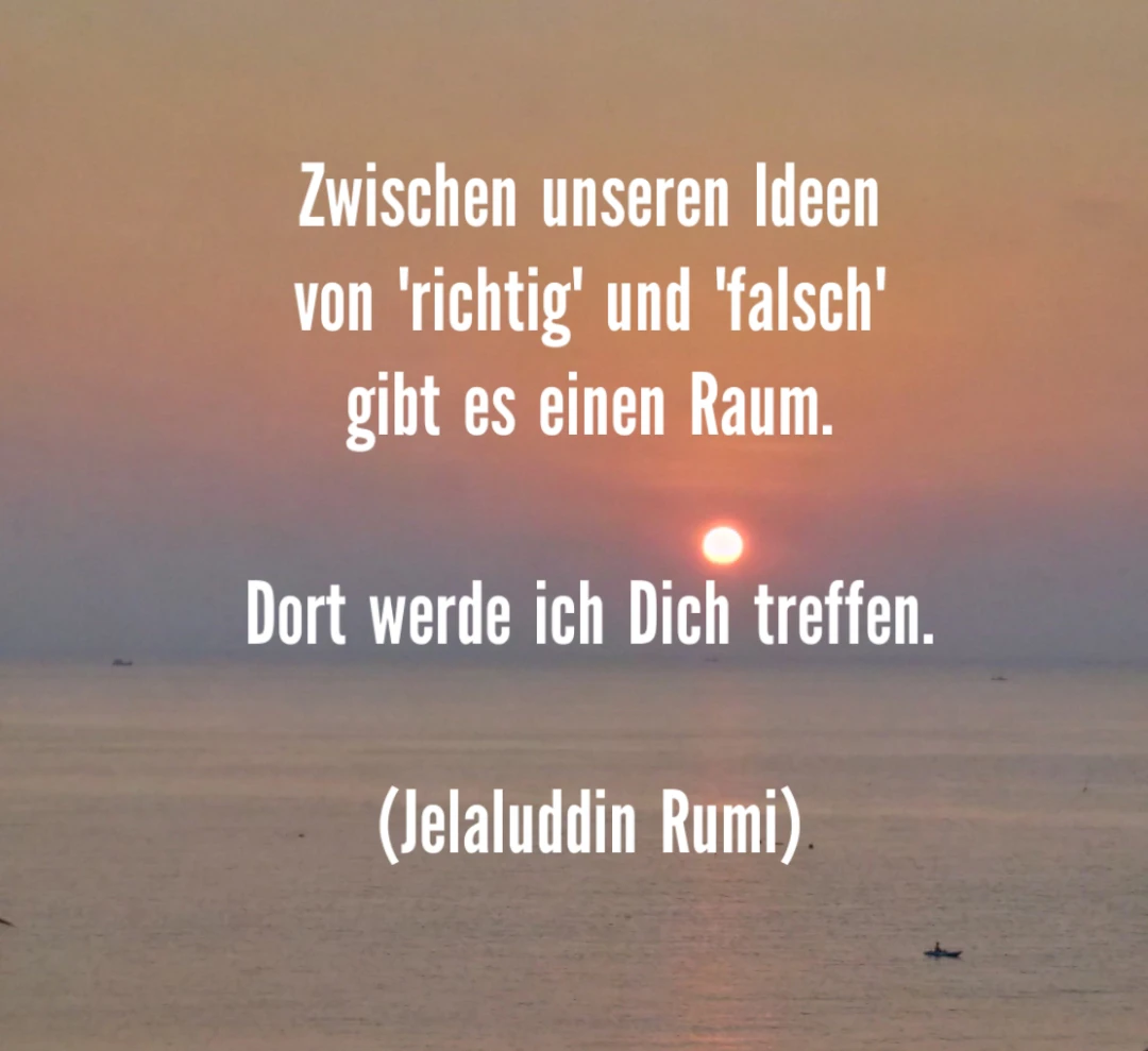 You are currently viewing Rumi – Unsere Ideen von richtig und falsch