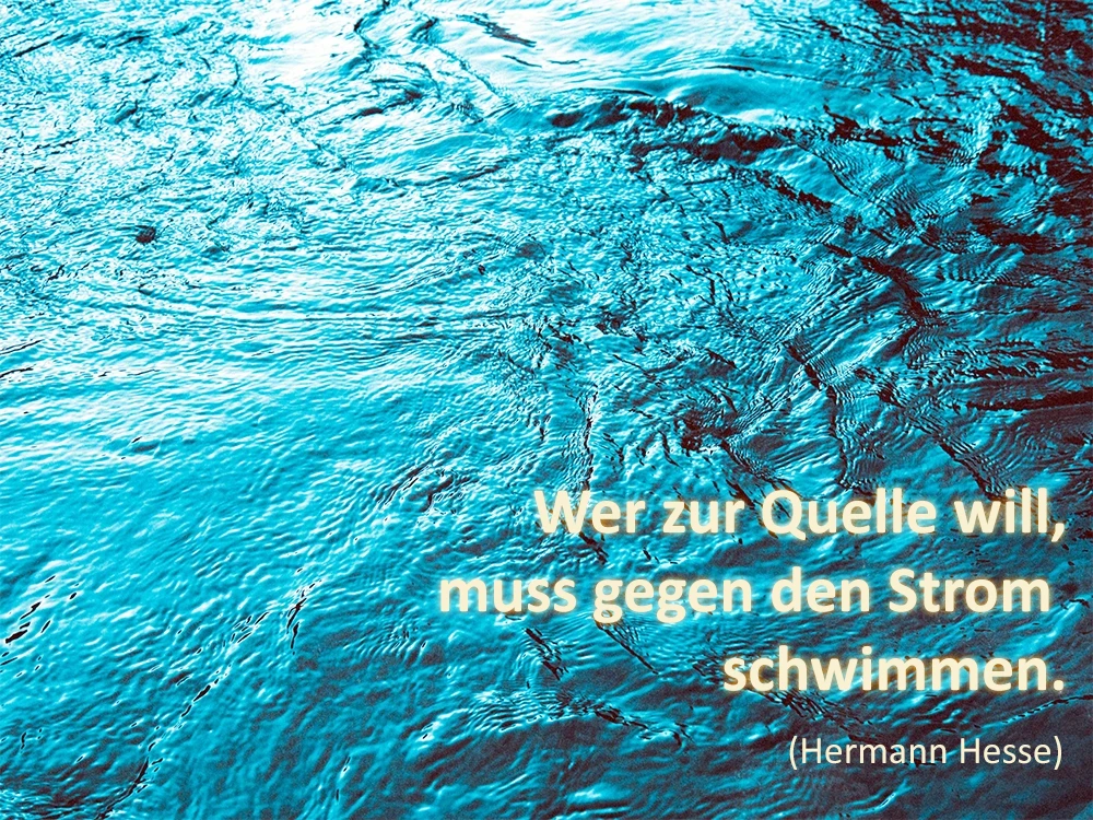 You are currently viewing „Wer zur Quelle will, muss gegen den Strom schwimmen“ (Hermann Hesse)